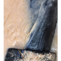 東莞地下水管漏水側(cè)漏 小區(qū)工廠水管檢測漏水_供應產(chǎn)品-佛山奇達管線探測