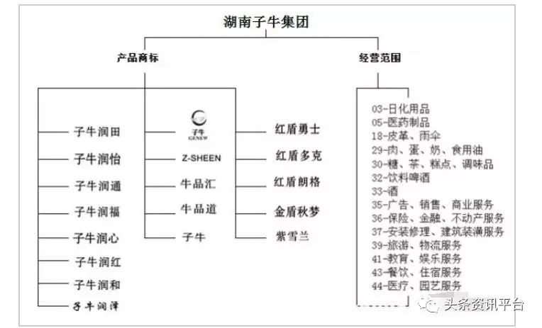 湖南子牛集團(tuán)更名子康生活，沉寂兩年后攜新定位“重出江湖”